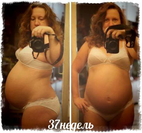 52d9573f809a15ec07add1d4821072ea.jpg