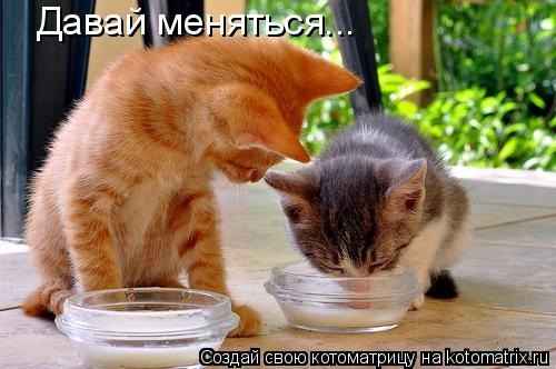 bf70eb77f9c95201826acd2843a16871.jpg