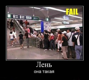 f14c0ef713a09aff055d51a82a1cda28.jpg
