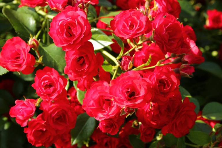 3d0126ffe6094795e0141deeb4a3293e.jpg