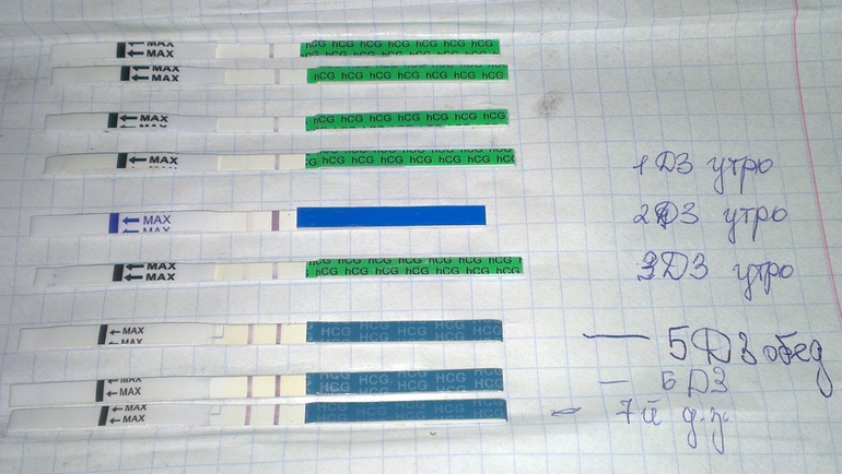 fe56f8b511803cae57889bc021400982.jpg