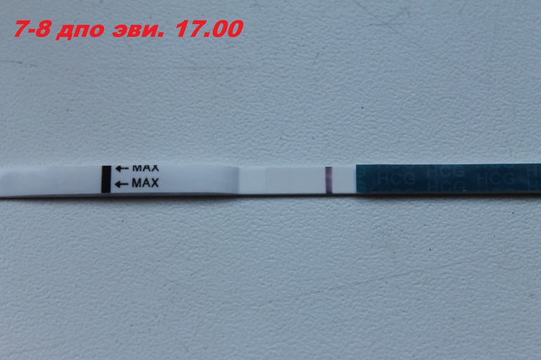 8151c57b99398460e8140862fc533188.jpg