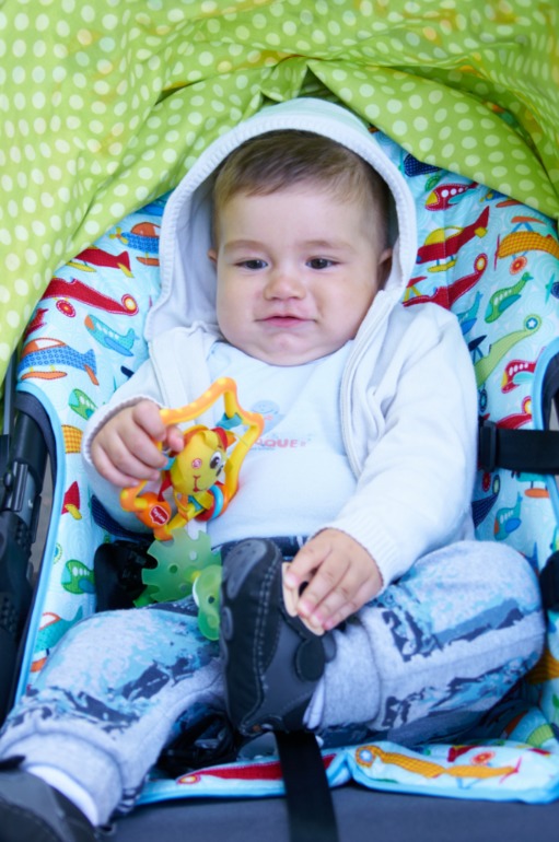 Baby ace 042