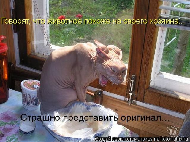 b9430f665f5ca5f4834ee634e2852d11.jpg