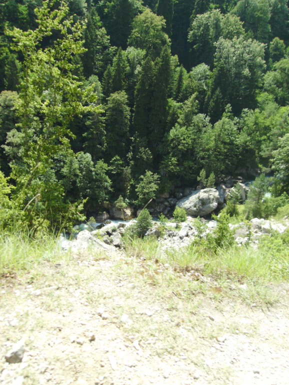 62e6dac243a73f9f28ed7f8ee14915fc.jpg