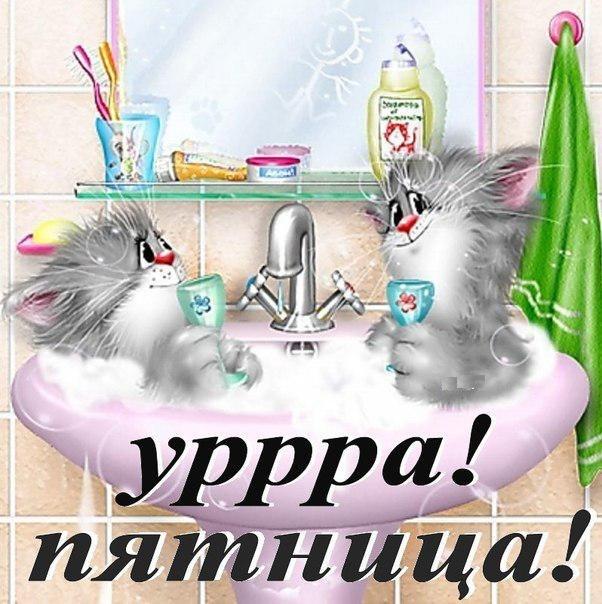 cbabc23f61c3510fe33b70010aa7f763.jpg