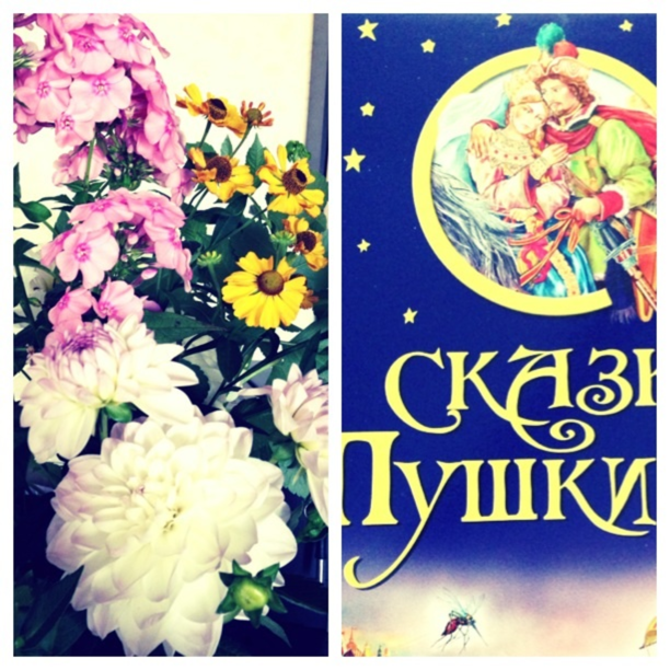 6 месяцев!
