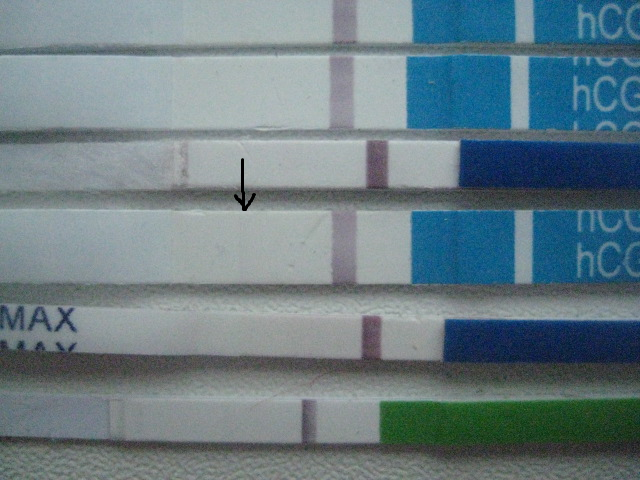 75247fc58f02bc903253dfd06d3ef284.png
