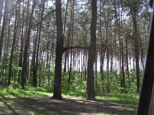 Продажа участков в Зеленогорске В городе Зеленогорске компания