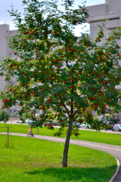 dc4b0dd6a82effda9590604ceb7f4858.jpg