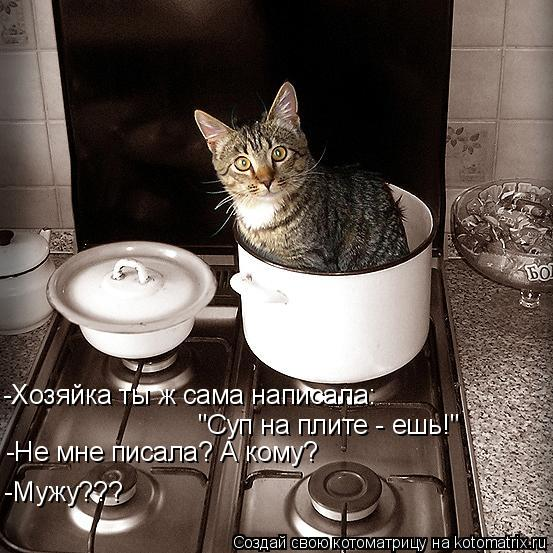 c827834370d19ce3a52ad0e515d4481a.jpg