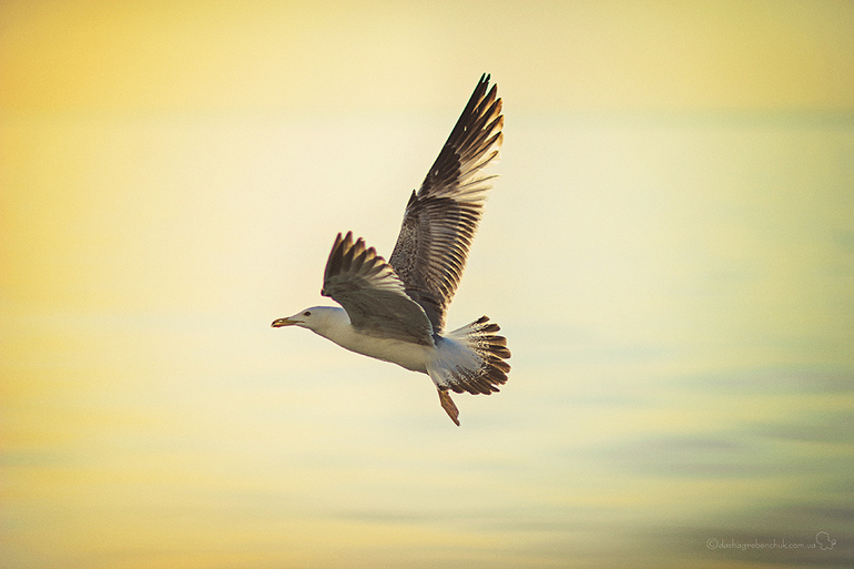 c986ea047d72a81d3eb09c45a4a05ef6.jpg