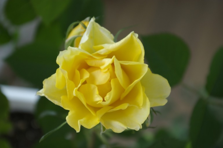 9f63d34501e89506e9cbb86f5570f4c0.jpg