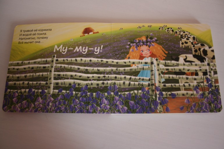 Книжки с кармашками