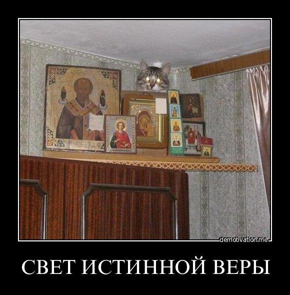 221ce681c4664127c3931a367f0f1257.jpg