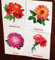 ТН Цветы