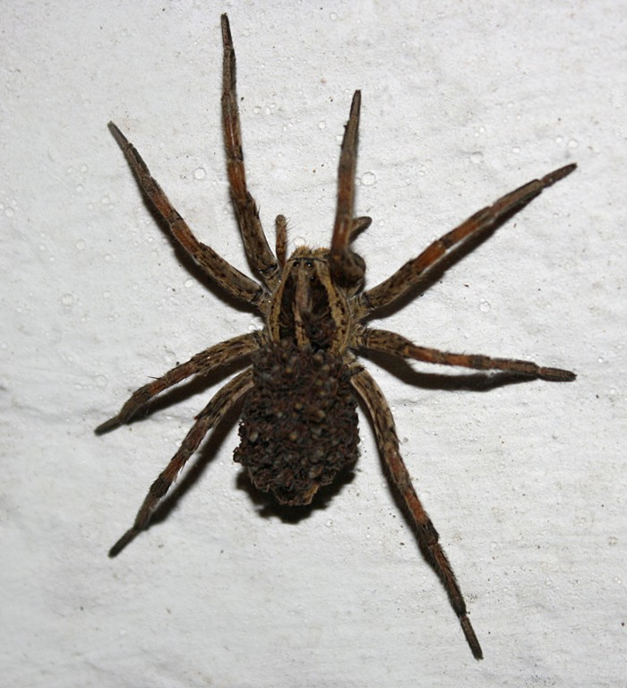 a168bef00c38eade561d51e3b5227674.jpg