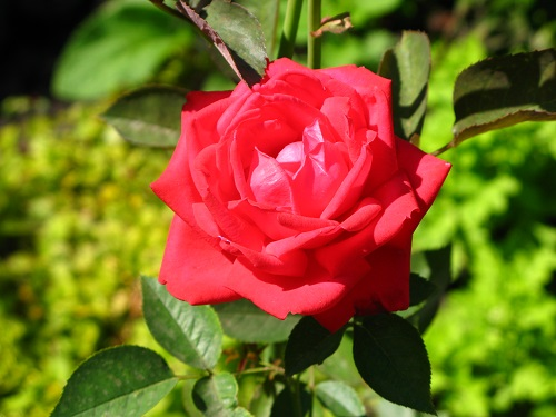 393aa81845e07499d7267c422b035ad1.jpg