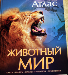 84b190070cd6afe47cb0c637d4e6a917.jpg