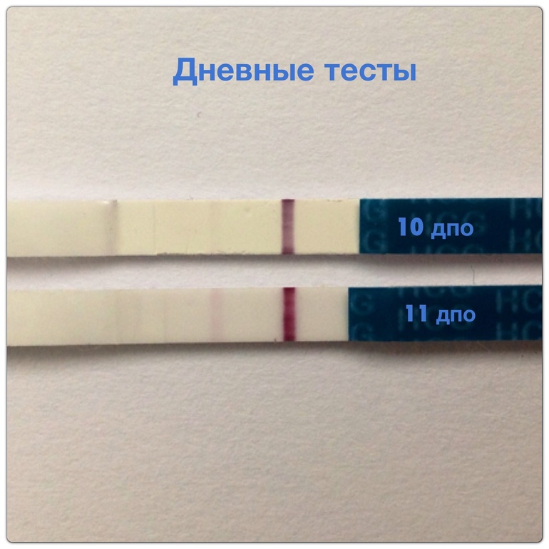 11 дпо дневные тесты!!! Мы растем ттттттт!!!!