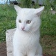 Именинницы ღ ღ ღ ღ 25сентября ღ ღ ღ ღ