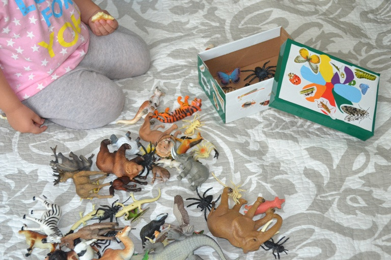ab26009c9f1dbe0832c33b7537bbdde2.jpg
