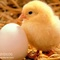 Именинницы ღ ღ ღ ღ 19сентября ღ ღ ღ ღ