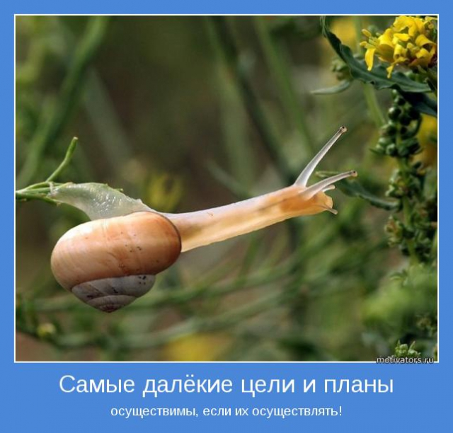 2fac44b6e956eedb4f5773aeae45becd.jpg