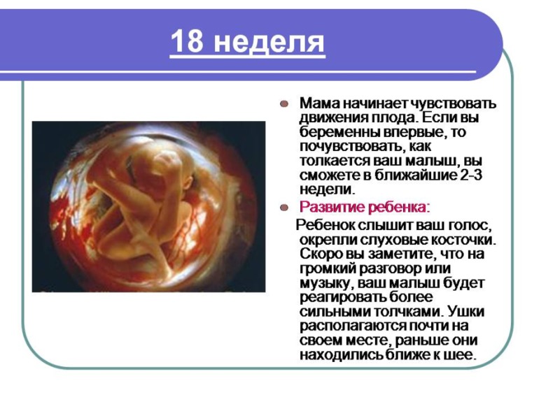 Немного о Б....Моя презентация о прекрасном мгновении в жизни женщины)