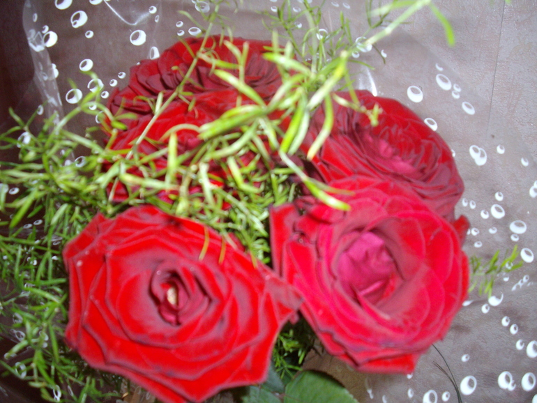 0021f4bc779c2fac19af8bf568f0327a.jpg