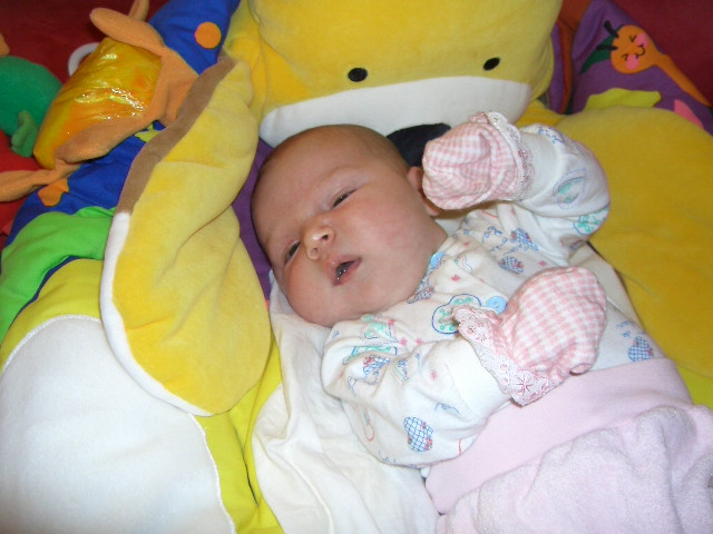 0dd65ab2aa93014c3044fbaba033de4a.jpg