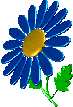 4025906c3306e6b81f6f02113e8d563d.gif