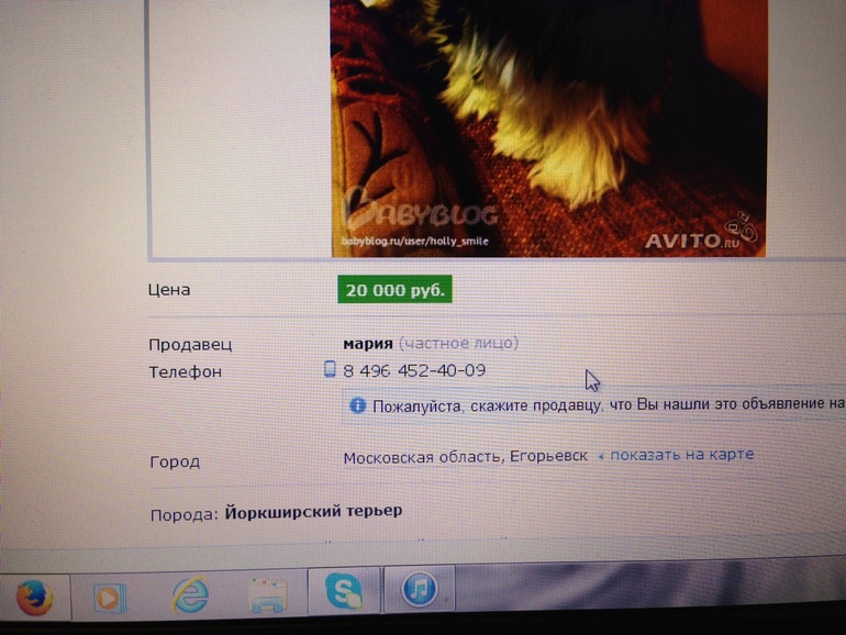хотите прикол???