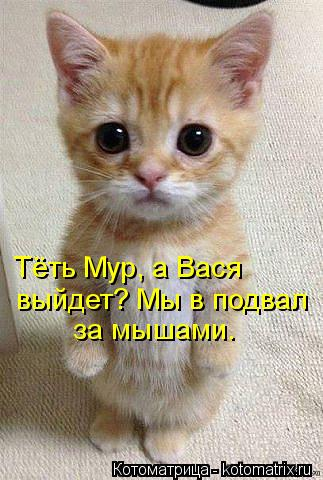 32131b80e9ef6bce07f802d4ac091c9d.jpg