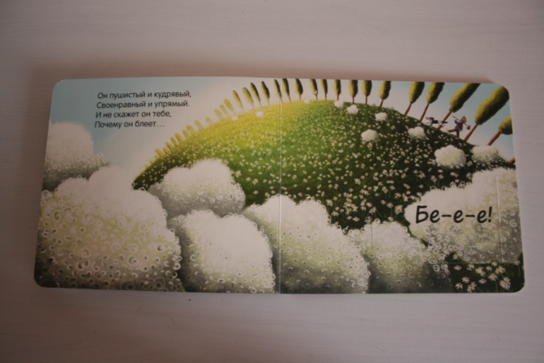 Книжки с кармашками
