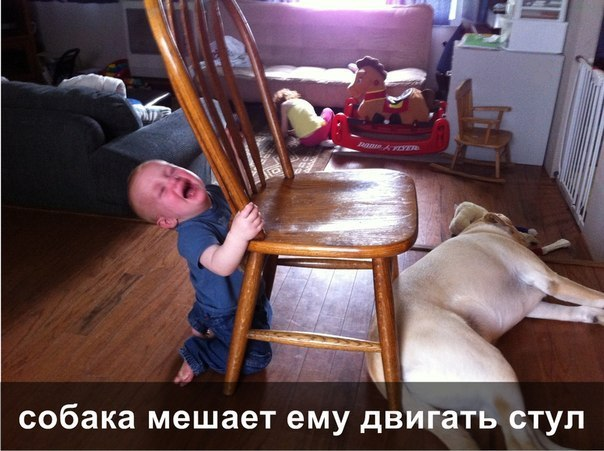 f02ec490baf43ddb248964e10fd6d6a9.jpg
