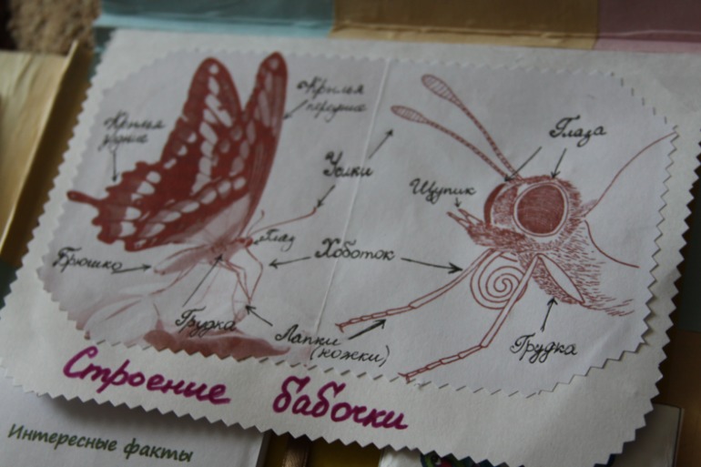 783d82694c115eeb2752cc604a5281c3.jpg