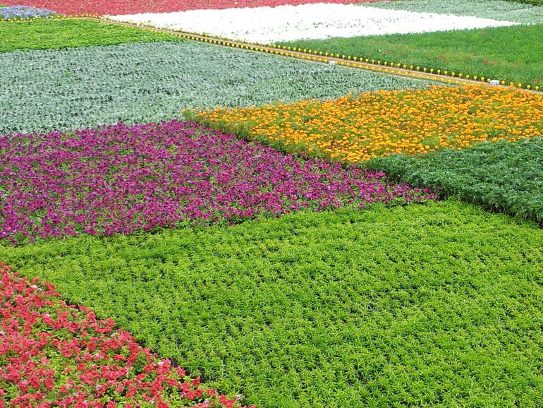 5ae31c19be1fe6052d4b0764e7097cb8.jpg