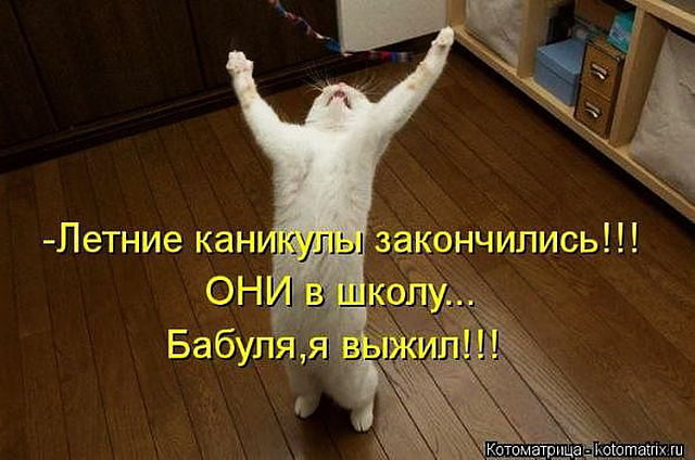 fb445ff3869c318e7bf3ce48476b1741.jpg