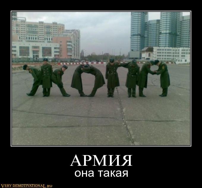 d6a4c86d554281fcb78b9a479215c04e.jpg