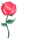 7001061692fce4b6565479e32078b02e.gif
