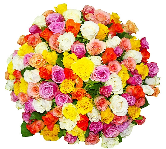 7d03f55cc8336d1edcccb9a9f6e6ff92.jpg