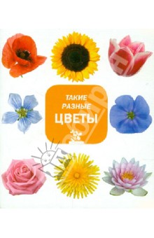 7772b72753936e1225a34b620298bafb.jpg