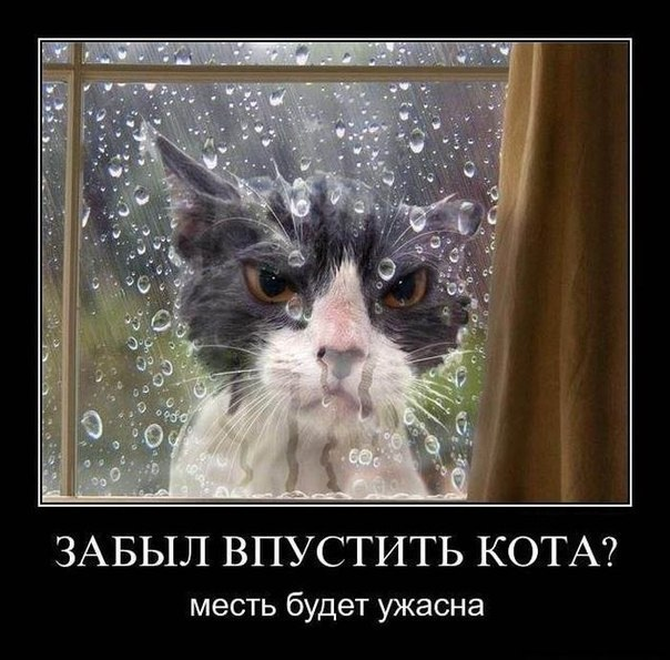 af54c312a1146cb3830612406701c84c.jpg