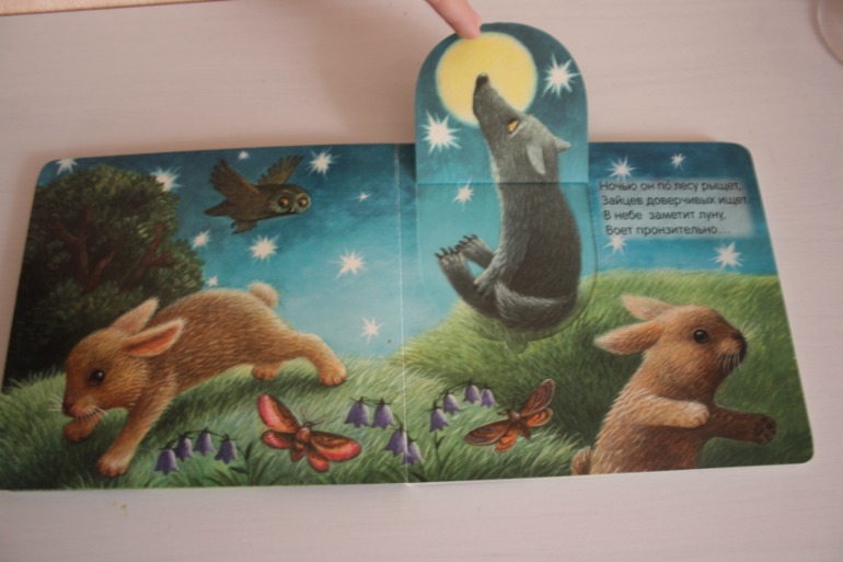 Книжки с кармашками