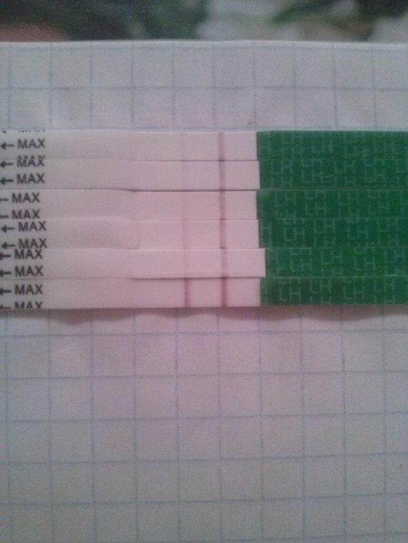 cb0c64e7ebee0bcc525e48a8c62187af.jpg