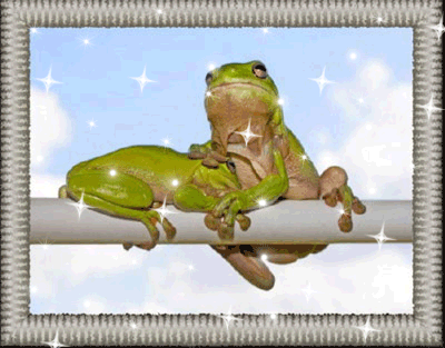 fcc4785a61dcc20cda74e363cb82eb66.gif