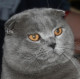 Марина