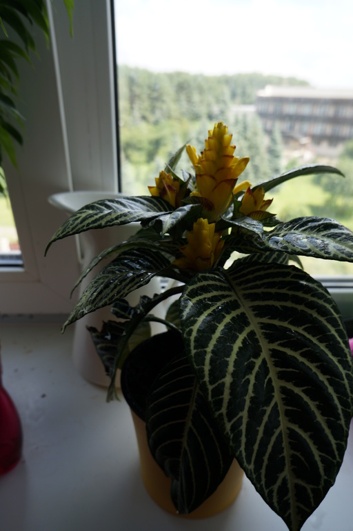 c54771571f90fd786eecec86dd1fcf63.jpg