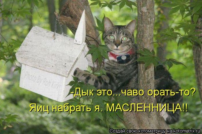 50e74d2fa60c4a667a1c1e497a36ad88.jpg